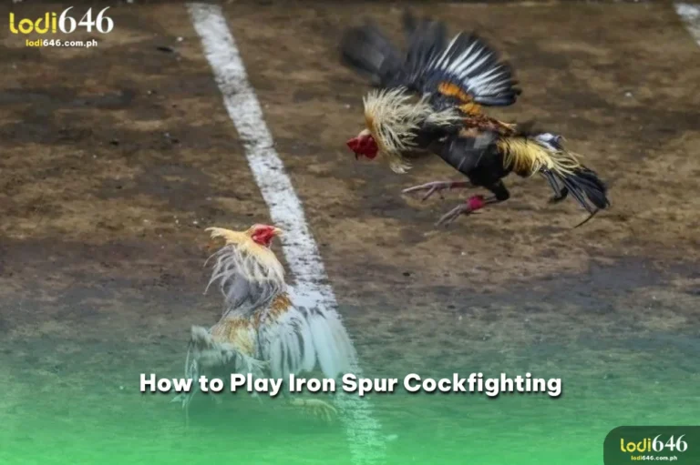 iron-spur-cockfighting