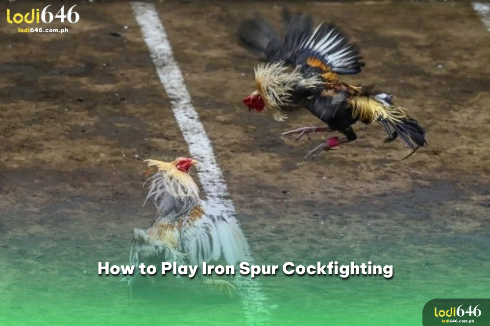 iron-spur-cockfighting